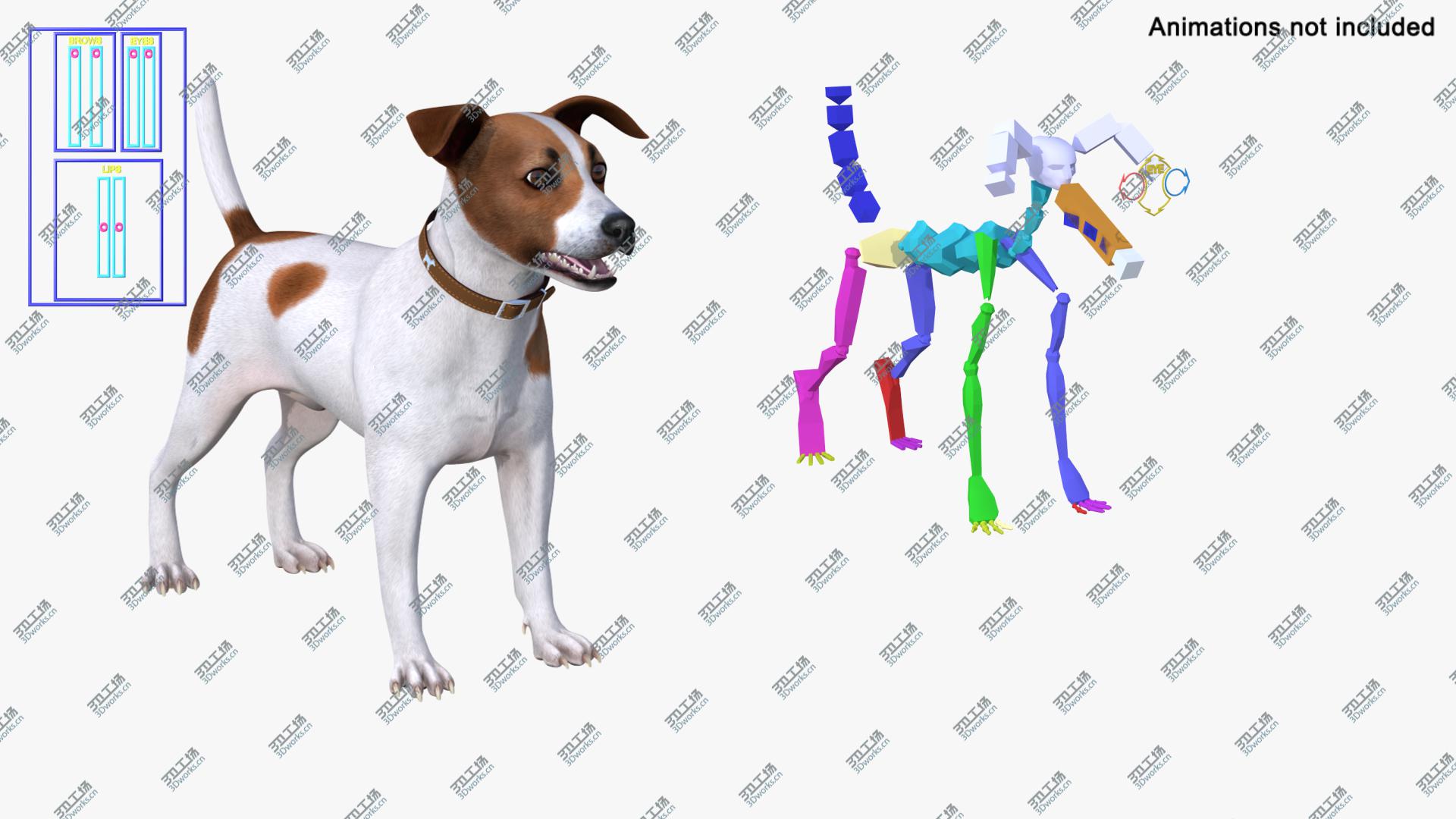 images/goods_img/202104093/Spotted Jack Russell Terrier Rigged 3D model/4.jpg